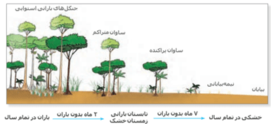 سوالات متن درس دوم جغرافیا یازدهم