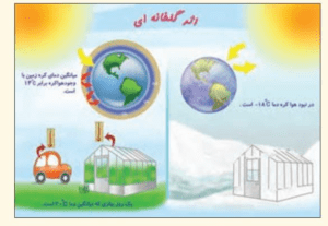 پاسخ فعالیت های درس چهارم انسان و محیط زیست یازدهم