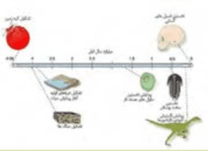 پاسخ فعالیت های فصل اول زمین شناسی یازدهم