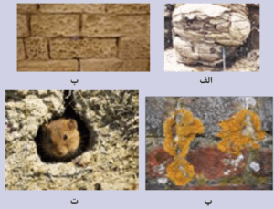 پاسخ فعالیت های فصل سوم زمین شناسی یازدهم