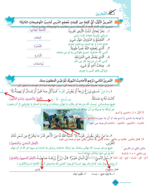 نمونه حل تمرین درس سوم عربی پایه یازدهم