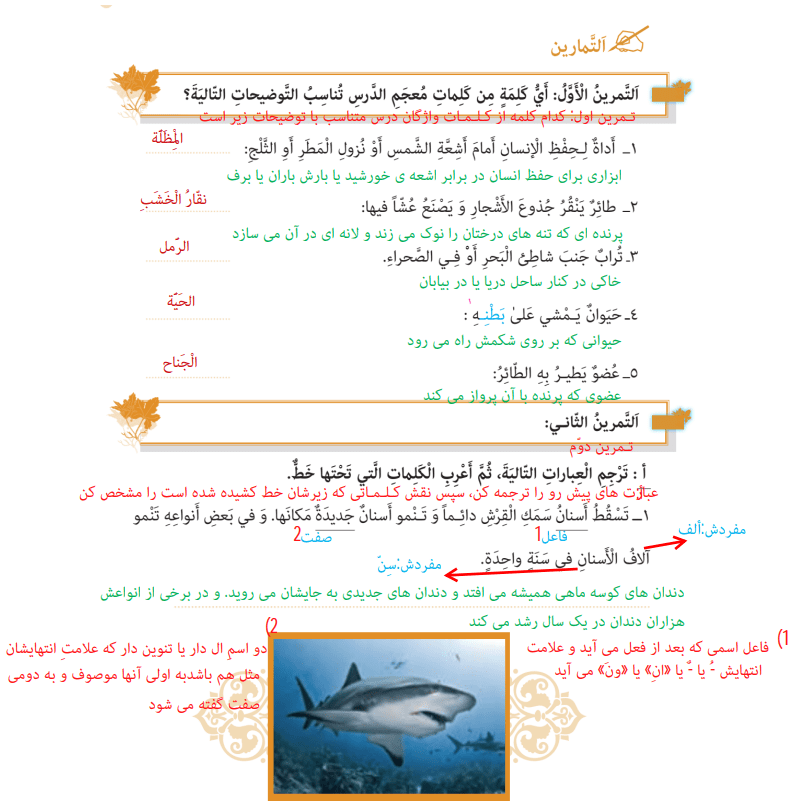 نمونه حل تمرین درس سوم عربی یازدهم انسانی