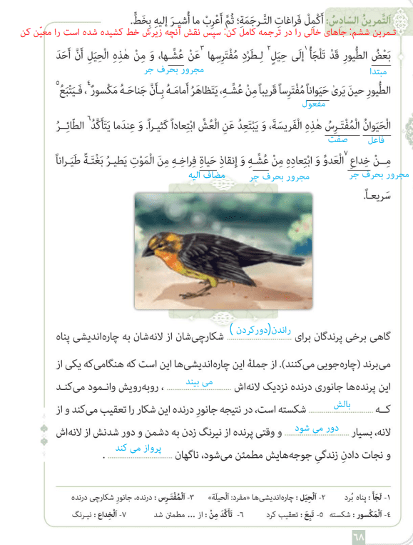 نمونه حل تمرین درس چهارم عربی دوازدهم انسانی