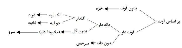 جواب صفحه 139 علوم نهم