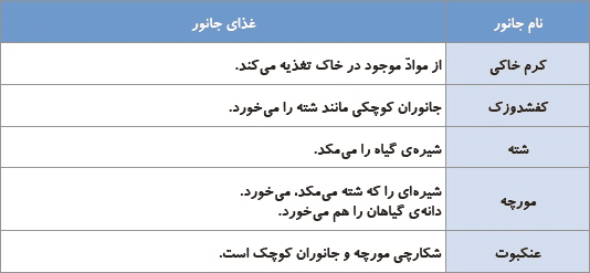 جواب صفحه 96 علوم چهارم