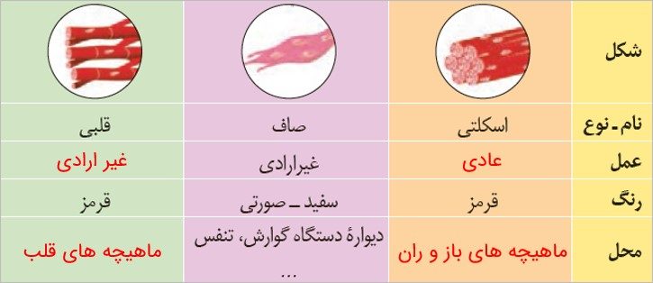 جواب صفحه 44 علوم هشتم