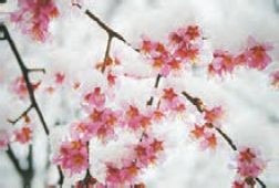 جواب گفت و گو کنید صفحه 26 علوم نهم